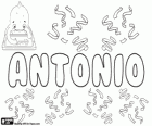 Antonio, nome di origine latina. Derivato da Antonius