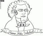 Busto di Franz Peter Schubert. Famoso compositore austriaco nato nel 1797 e morto nel 1828