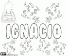 Ignacio, nome con varie origini e significati. Ignazio di Loyola, fondatore della compagnia di Gesù, i gesuiti