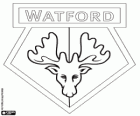 Distintivo di Watford F.C.. Gli Hornets