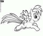 Rainbow Dash, un pony pegaso con la coda dell'arcobaleno. Un personaggio di Mini Pony, My Little Pony