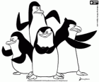 Il gruppo di pinguini pronti per l'azione. I pinguini di Madagascar