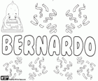 Bernardo, forma latina del nome germanico Bernhard. Il suo significato è forte come un orso. Bernardo, nome maschile in spagnolo, portoghese e italiano