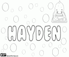 Hayden, nome con diverse origini possibili. Nome dato come lo stesso cognome di origine inglese