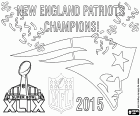 New England Patriots, campioni della Super Bowl 2015. Il risultato finale della partita contro i Seattle Seahawks è stata 28-24. Il quarterback Tom Brady è stato nominato MVP della finale