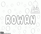 Rowan, nome irlandese e inglese. Rowan, nome per ragazzo che è utilizzato anche per ragazza