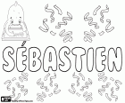 Sébastien, nome di origine latina. Deriva dal nome latino Sebastianus. Sebastien, nome maschile francese. Suo diminutivo è Bastien