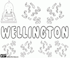 Wellington, nome di origine inglese per ragazzo. Wellington, variante di Welington