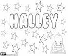 Halley, nome usato sia per ragazza e ragazzo. Halley, nome con origini diverse. Halley, variante di Hallie e Harriet. Halley è anche un cognome inglese