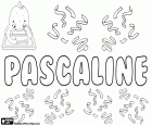 Pascaline, nome francese per ragazze. Pascaline, variante di Pascale, forma femminile di Pascal. Tutti questi sono nomi derivati dal latino Paschalis che significa Pasquale, correlato con la Pasqua