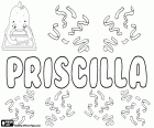 Priscilla, variante di Priscila, Priscille e Pryscylla. Priscilla, nome per ragazza di origine latina. Priscilla, nome biblico, personaggio del Nuovo Testamento