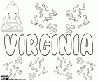 Virginia, nome femminile di origine latina, derivato da Virginio. Virginia o Verginia, personaggio della mitologia romana