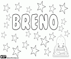Breno, nome per bambino in Portoghese, nome derivato da Brenno
