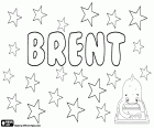 Brent, nome maschile di origine inglese. Brent, usato anche come un diminutivo di Brenton. Brent, un cognome inglese con parecchie origini possibili