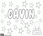 Gavin, nome maschile in inglese, francese e scozzese che deriva dal nome medioevale Gawain