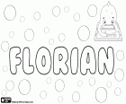 Florian, nome di origine latina, dal nome romano Floriano, derivato di Florus. Florian, nome maschile in molte lingue, tra cui tedesco, polacco e francese. Anche il nome in spagnolo, ceco e slovacco, Florián. Trascrizione del nome in russo, ucraino e bulgaro