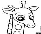 Una giovane giraffa, nel suo volto riflette la curiosità per scoprire tutto, atteggiamento comune di infanzia e giovinezza