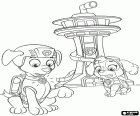 Zuma e Skye sono di fuori della sede degli Paw Patrol. I cuccioli ricevono il segnale di allarme in loro collane interattive