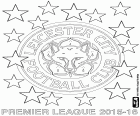 Leicester City FC, campione della Premier League 2015-2016. La squadra della città di Leicester, noto anche come "the foxes", le volpi, è stata proclamata per la prima volta in 132 anni di storia come il campione della massima categoria del calcio inglese. Una squadra molto compatta ed equilibrata che ha due giocatori stella come Jamie Vardy e Riyad Mahrez. L'allenatore è l'italiano Claudio Ranieri