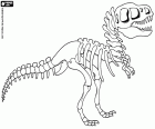 Ricostruzione dello scheletro di un dinosauro in un museo. I resti dello scheletro di un animale preistorico che è stato trovato negli scavi archeologici