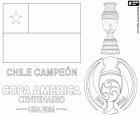 Cile, due volte campione della Copa America 2015 e 2016. La squadra di calcio nazionale del Cile è il campione della Copa America Centenario 2016, ha sconfitto Argentina nel rigore, il risultato della partita era 0-0. I cileni Alexis Sanchez sono stato il miglior giocatore del torneo, Claudio Bravo è stato il miglior portiere ed Eduardo Vargas è stato il capocannoniere
