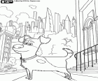 In questo disegno da colorare il cane Max sul marciapiede di una strada di Manhattan, New York. Vita da animali