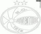 Logo di Esporte Clube Juventude, squadra di calcio di Caxias do Sul, città dello stato del Rio Grande do Sul, nel sud del Brasile