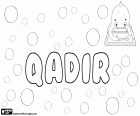 Qadir, nome maschile di origine araba, variante di nomi come Kadir, Kader, Qader e Ghader tra gli altri
