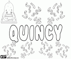 Quincy, nome usato in inglese per ragazzo e ragazza, nome che deriva dal cognome Quincy, variante di Quincey