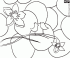 Una scena di primavera da colorare con due piccoli uccelli e due fiori