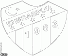 Distintivo di Bursa Spor Kulübü, Bursaspor Kulübü, squadra di calcio con sede a Bursa, città nel nord-ovest dell'Anatolia e capitale della provincia con lo stesso nome
