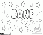 Zane, nome con origini diverse in diverse lingue. Zane, nome di origine ebraica per ragazzo, variante di Jon. Zane, nome maschile di origine inglese provenienti dallo stesso cognome. Zane, nome femminile in Lettonia derivato da Zuzana. Zane, nomi di origine araba per ragazzo e ragazza. Zane, cognome italiano di origine veneziana medioevale