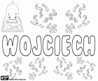 Wojciech, nome polacco per ragazzo con varianti come Wojtek, Wojtuś e Wojcio tra gli altri