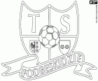 Logo di TS Podbeskidzie, Towarzystwo Sportowe Podbeskidzie Bielsko-Biała, società calcistica con sede a Bielsko-Biała, città sulle rive del fiume Biała, ai piedi dei Carpazi nel Voivodato della Slesia, situato nel sud della Polonia, vicino al confine con la Repubblica Ceca e la Slovacchia
