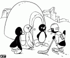 Il pinguino Pingu e i suoi amici vicino a igloo