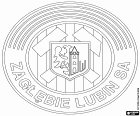 Distintivo di Zagłębie Lubin Sportowa SA, società calcistica con sede a Lublino, città nel Voivodato della Bassa Slesia, nella Polonia sud-occidentale
