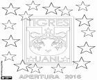 Tigres di UANL, campioni del torneo apertura del 2016, campionato messicano di calcio. Il quinto titolo di campionato in prima divisione nazionale Tigres CF nella finale contro il Club América