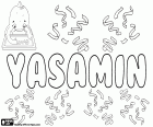 Yasamin, nome femminile di origine persiana, variante di Yasamen e Yasamine, tra gli altri. L'origine e il significato di questo nome è il fiore di gelsomino