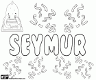Seymur, nome per bambino popolare in Azerbaigian. Seymur ha una grande somiglianza con il nome e il cognome inglese Seymour