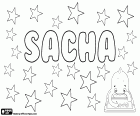 Sacha, nome unisex in diverse lingue, variante di Sasha, Sascha, Sasja e Saša, diminutivi di origine russa per Alessandro e Alessandra