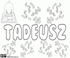Tadeusz, variante di Taddeusz, nome biblico maschile di origine aramaica, Thaddai, nome in lingua polacca e francese, variante del greco nome Thaddaios e il nome latinizzato Thaddeus, Taddeo