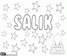 Salik, nome maschile con diverse origini e significati, anche un cognome. Salik, nome per ragazzo molto popolare in Groenlandia, il suo significato è il detergente, e potrebbe venire dalla mitologia groenlandese. Salik, nome maschile di origine araba, variante di Saliq