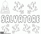 Salvatore, nome maschile in italiano, nome di origine latina, derivato da Salvator, un antico nome cristiano, il suo significato è colui che salva, il salvatore, una traduzione del nome di Gesù per i primissimi cristiani