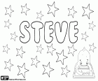 Steve, nome in inglese per ragazzo, forma breve che corrisponde a Steven e Stephen in inglese, derivato dal nome di origine greca, Stephanos. Stefano in italiano
