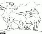 I cavalli Spirit e Pioggia, il cavallo giovane e giovane giumenta sono due protagonisti del film Spirit, Cavallo selvaggio