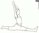 Una ragazza in esecuzione di una spaccata, un'apertura di gambe. La spaccata è un esercizio realizzato in vari sport come la ginnastica, la danza e il yoga, tra gli altri