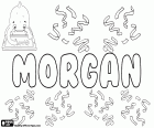 Morgan, nome di origine gallese per ragazzo, derivato dall'antico nome maschile, Morcant. Originariamente è un nome maschile utilizzato in diverse lingue come inglese, francese e gallese. È anche un nome per ragazze in inglese e francese, variante di Morgana e Morgane