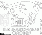New England Patriots sono i campioni del Super Bowl 2019. Hanno superato in finale a Los Angeles Rams da 13-3. il MVP è stato Julian Edelman. New England Patriots e il quarterback Tom Brady hanno ottenuto il sesto titolo di campione