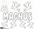 Magnus, nome per ragazzo popolare soprattutto nei paesi scandinavi, come la Svezia, Norvegia e Danimarca. Magnus in latino significa Grande