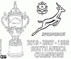 Il Sudafrica è il nuovo campione del mondo di rugby del 2019. Gli Springboks hanno vinto il loro terzo titolo mondiale dopo i titoli del 1995 e del 2007